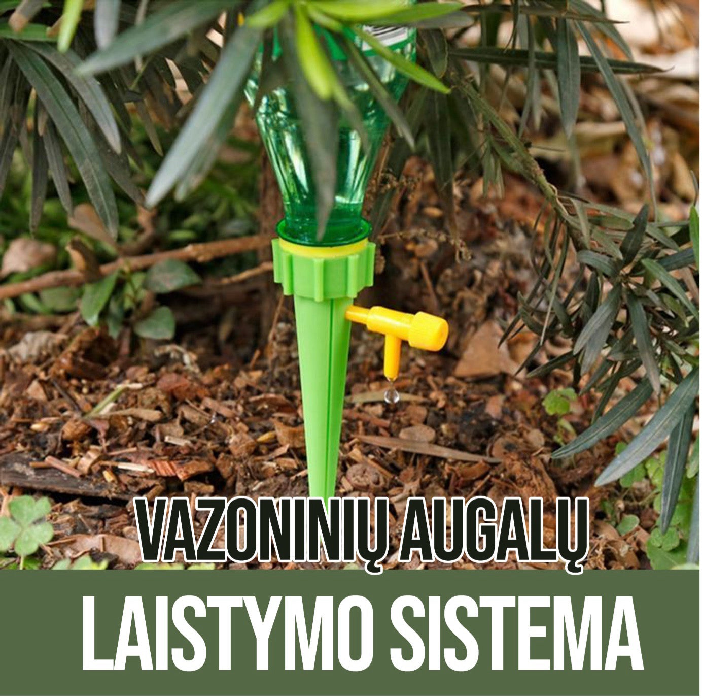 Vazoninių Augalų Laistymo Sistema | Patogus Būdas Laistyti Augalus